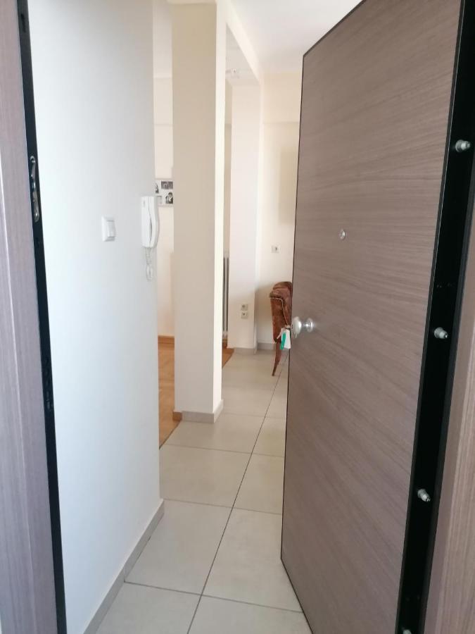 Athenian Elegant Apt Near Acropolisアパートメント エクステリア 写真